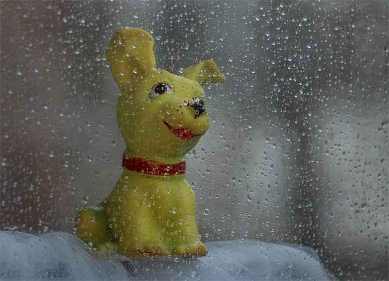 un chien derrière une fenêtre par temps de pluie