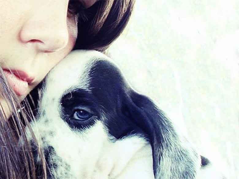 un petit chien triste dans les bras de sa maîtresse