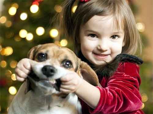 une petite fille pose avec un beagle pour une photo