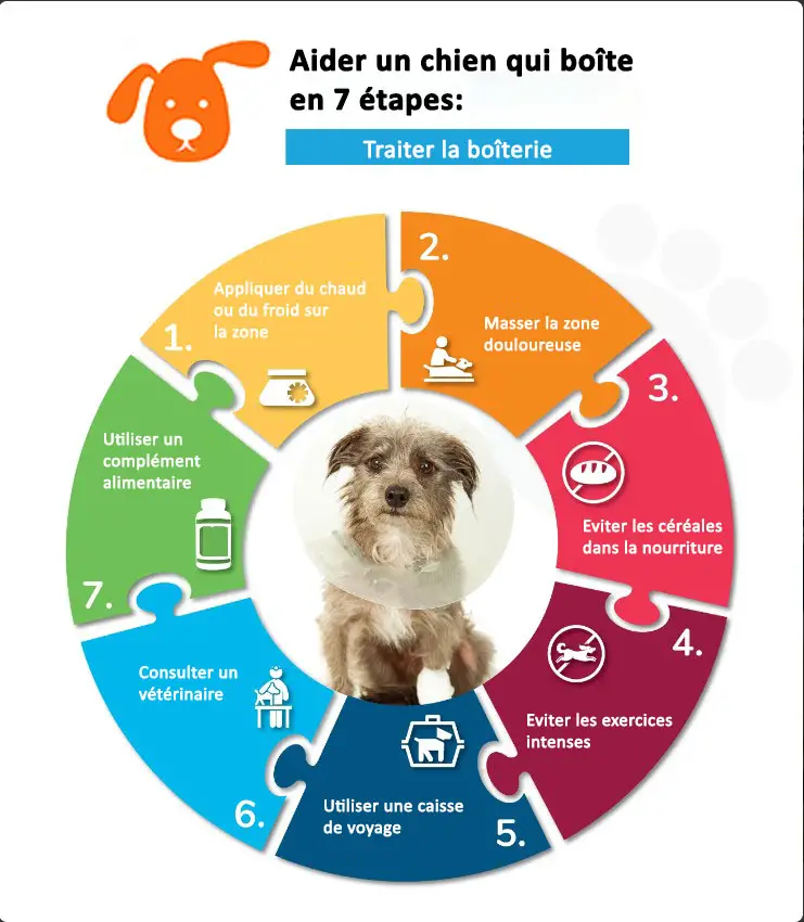 infographies des solutions pour soulager un chien qui boîte

