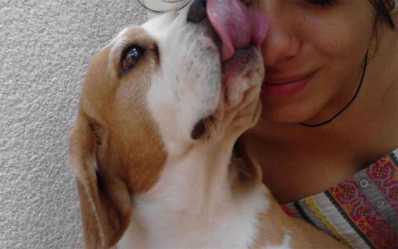 une femme sent la mauvaise haleine de son chien qui essaie de lui lécher le visage